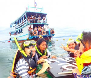 ทริปดำน้ำ 18 มิ.ย. 2559