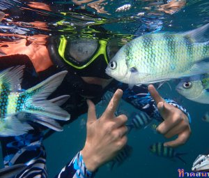 ทริปดำน้ำเกาทะลุ 10 ก.ค. 2559