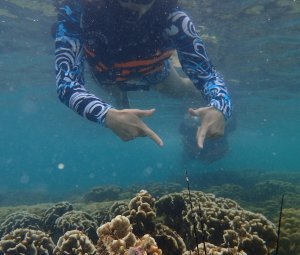 ทริปดำน้ำเกาทะลุ 10 ก.ค. 2559