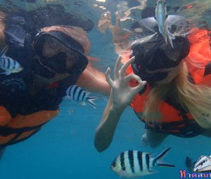 ทริปดำน้ำเกาทะลุ 23 ก.ค. 2559