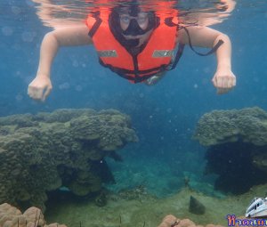 ทริปดำน้ำเกาทะลุ 23 ก.ค. 2559