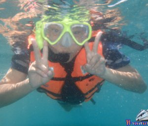 ทริปดำน้ำเกาทะลุ 02 ส.ค. 2559