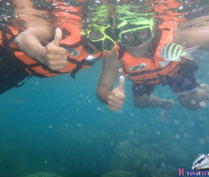 ทริปดำน้ำเกาทะลุ 09 ส.ค. 2559