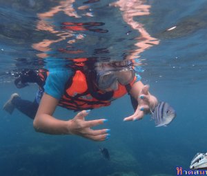 ทริปดำน้ำเกาทะลุ 09 ส.ค. 2559