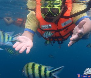 ทริปดำน้ำเกาทะลุ 09 ส.ค. 2559