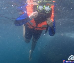 ทริปดำน้ำเกาทะลุ 11 ส.ค. 2559