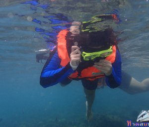 ทริปดำน้ำเกาทะลุ 11 ส.ค. 2559