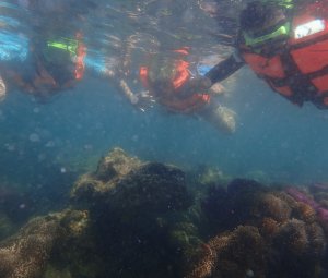 ทริปดำน้ำเกาทะลุ 21 ส.ค. 2559
