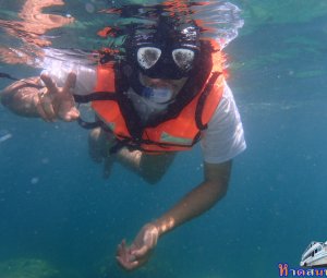 ทริปดำน้ำเกาทะลุ 26 ส.ค. 2559