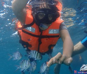 ทริปดำน้ำเกาทะลุ 29 ก.ย. 2559