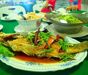 อาหารทะเล ซีฟู้ด ปูม้า ปลาหมึก อร่อย