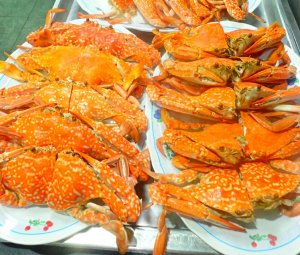 อาหารทะเล ซีฟู้ด ปูม้า ปลาหมึก อร่อย
