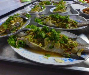 อาหารทะเล ซีฟู้ด ปูม้า ปลาหมึก อร่อย